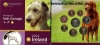 Irland KMS 2012 bu. Hund